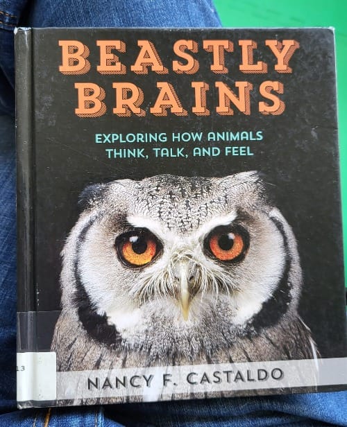The hardcover book Beastly Brains: Exploring How Animals Think, Talk, and Feel features an image of an owl, staring right at you. The book sits on the lap of a person who is wearing jeans.