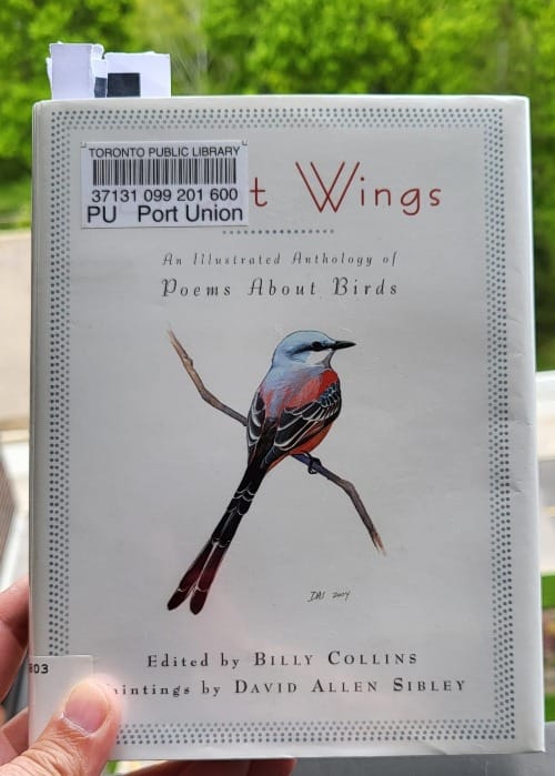A Toronto Public Library sticker covers most of the title of Bright Wings, which features a painting of a Scissor-tailed Flycatcher.